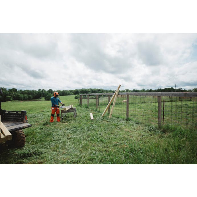 STIHL® MS194CE